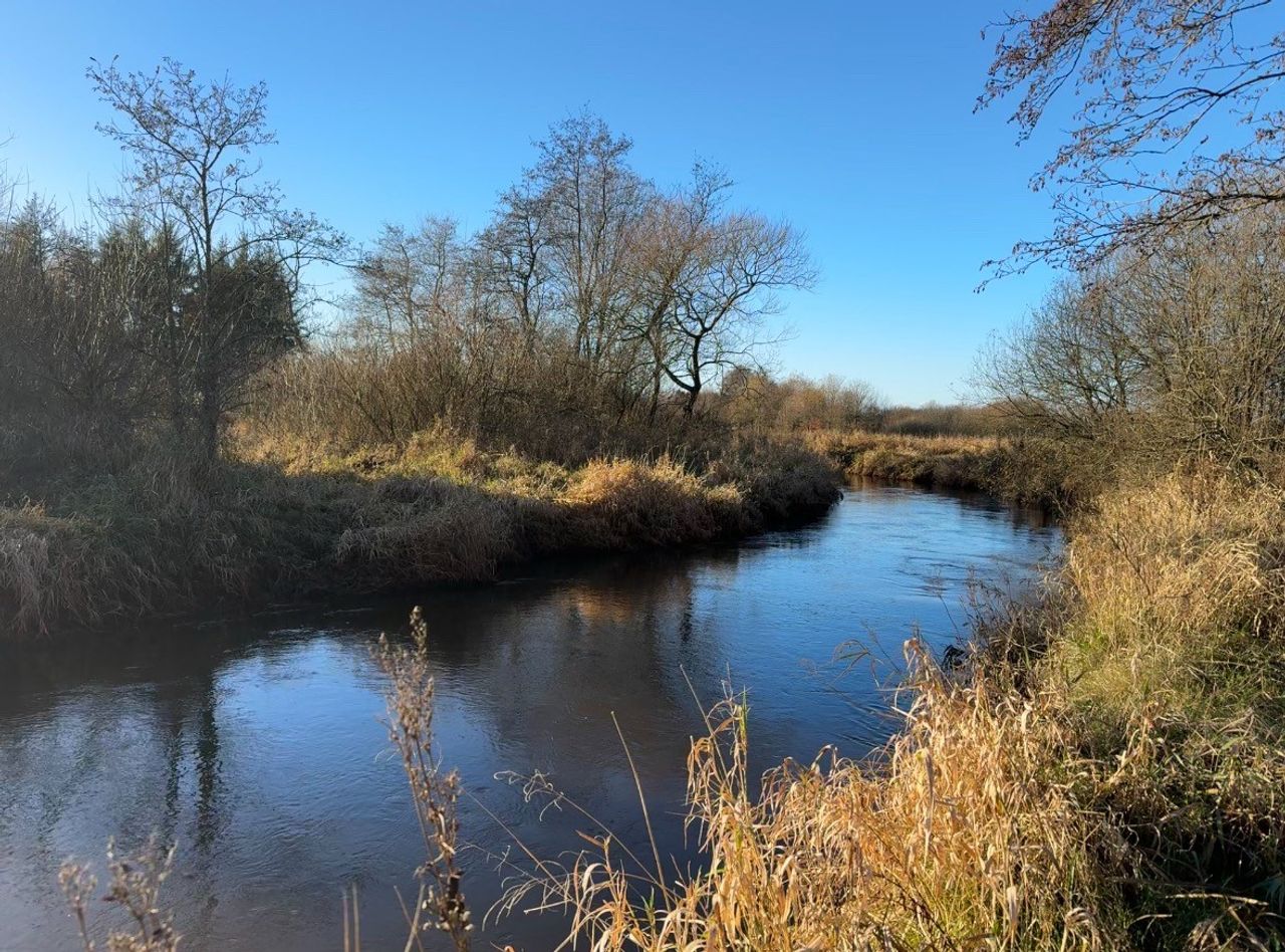 Ejendomsbillede 3 af 4